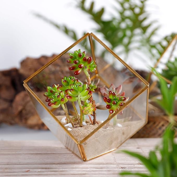 Glass Geometric Plant Terrarium,Succulent & Air Planter for Home Garden Office Decoration(Gold Cubic Set of 2)