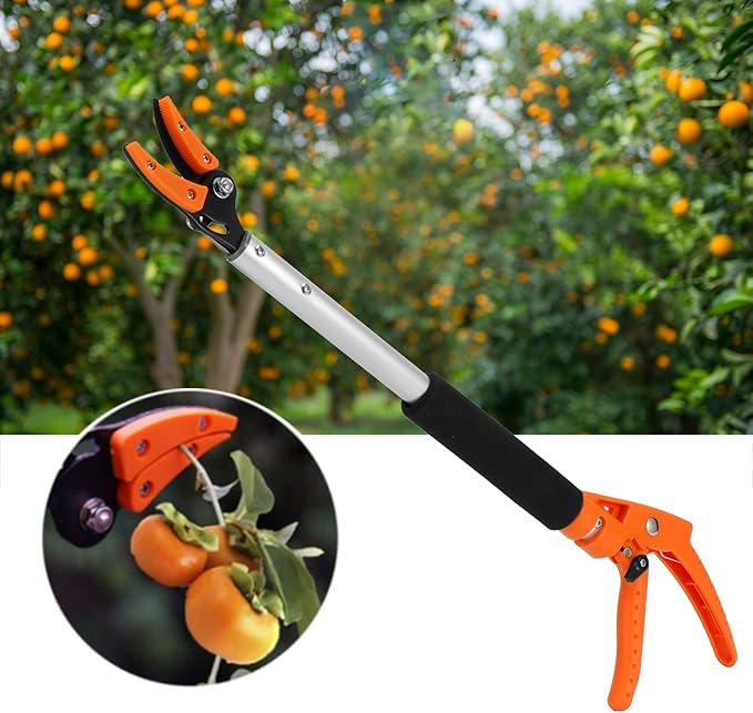 Fruits Scissors Aluminum Fruit Picker Cutter for Grapes Peach Branch Pruning Shears Gardening Accessory Orange