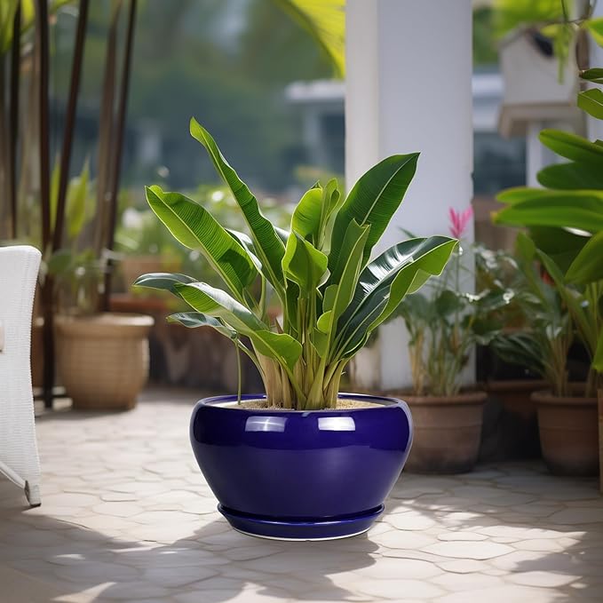 Ceramic Planter - 13 Inch Indoor Plant Pot for Plants with Drainage Hole and Saucer Large Planter Round Outdoor Flower Pot Mid-Century for House Patio Room Decor Blue