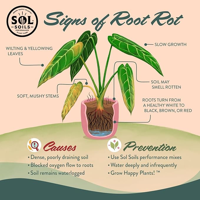 Sol Soils Chunky Houseplant Mix - Fast Draining Soil for Indoor Plants with Coco Coir Chips, Perlite, & Pumice, 1 Gallon