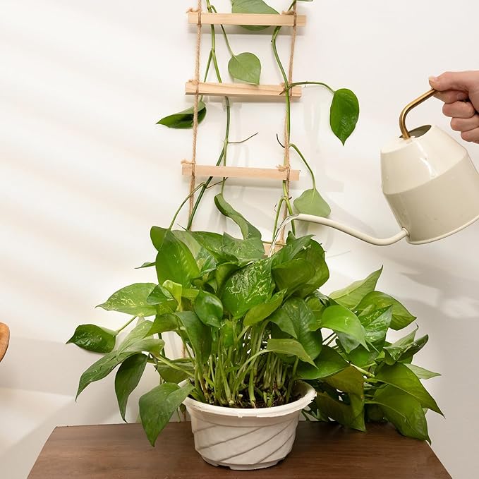 Sturdy Climbing Plants Trellis - Natural Wood Ladder Design for Indoor & Outdoor Use, Easy Installation, Reliable Support for Vines & Climbers, Modern Home Decor, Durable Plant Support System