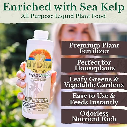 HydraGreens Indoor Plant Food & Vegetable Garden Liquid Fertilizer - NPK 3-1-2 Enriched with Sea Kelp to Stimulate Root & Plant Growth - All Purpose Plant Fertilizer use in Soil & Hydroponics - 8 oz