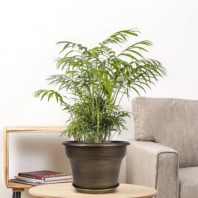 Plant Planters Pots Set of 4 Pack 10 Inch, Plastic Flower Pot for Indoor Plants with Drainage Holes & Trays, Resin Decorative Container Sets with Saucer for House Outdoor Garden Planters Dark Gold