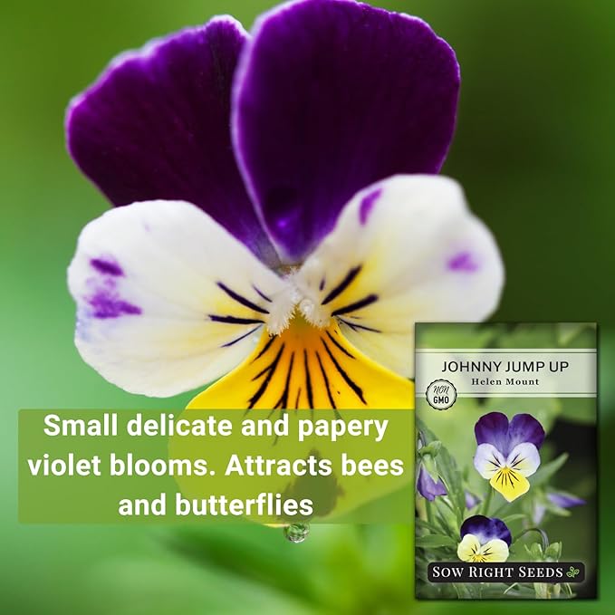 Sow Right Seeds - Violet, Johnny Jump-Up Flower Seed for Planting - Beautiful Flowers to Plant in Your Garden - Non-GMO Heirloom Seeds - Perfect for Spring Containers - Attract Pollinators (1)