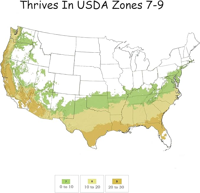 Shrub Frostproof Gardenia 2.5 Qt, White Blooms