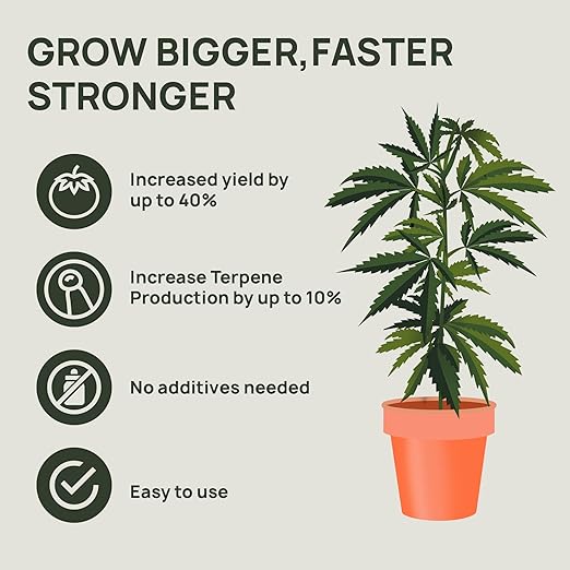 Strive Fertilizer Part B Package - Veg + Bloom General Hydroponic Nutrients - Premium Indoor, Outdoor and Soil Growing Plant Food - Enhancer - Booster for Vegetables, Succulents, Flowers & More