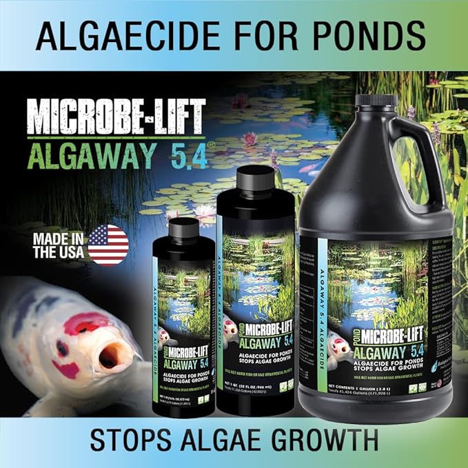 MICROBE-LIFT ALGA2.5 Algaway 5.4 Algae Control Treatment for Ponds and Water Gardens, Safe for Koi Fish, Goldfish, Plants, and Decorations, 2.5 Gallons