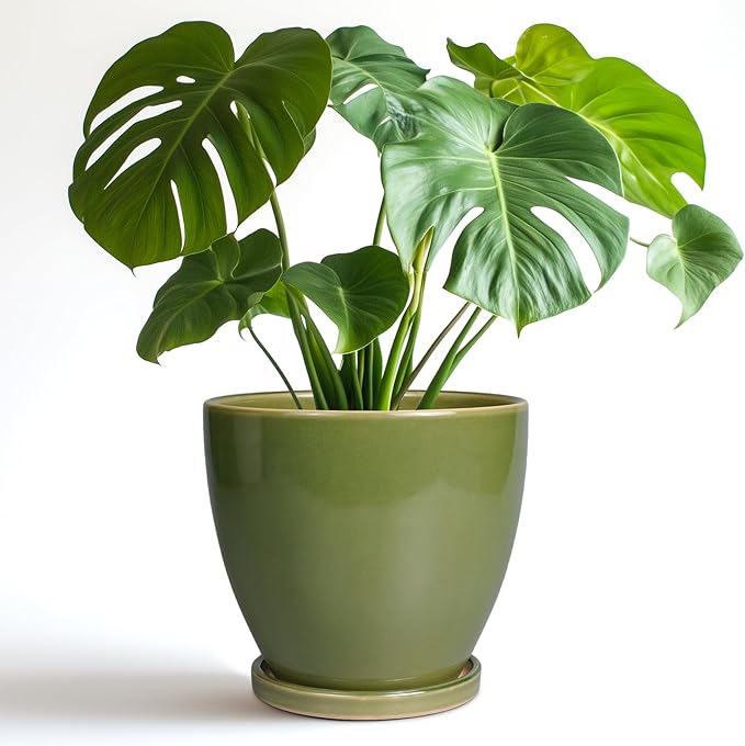 8 Inch Planter - Ceramic Plant Pot with Drainage Hole and Tray Round Planters Modern Flower Pot for Room Home Office Patio Porch Garden Decor Green