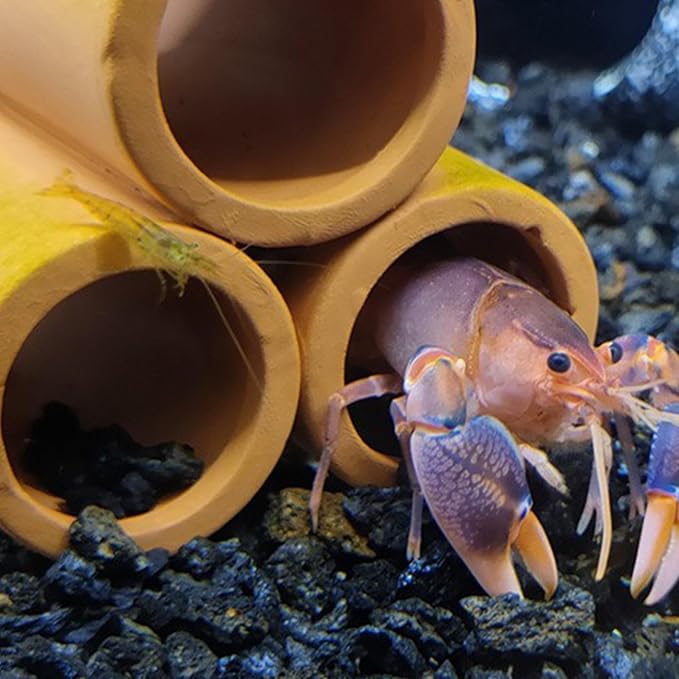 10 LB Black Lava Rocks for Plant Decorative Landscaping for Cacti Succulents Plants, Bonsai, and Terrarium Plants,…