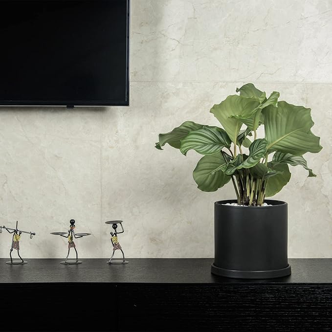 Planters for Indoor Plants Ceramic Flower Succulent Plant Pots with Drain Hole Saucer Decor for Home Office (5 inch Black)