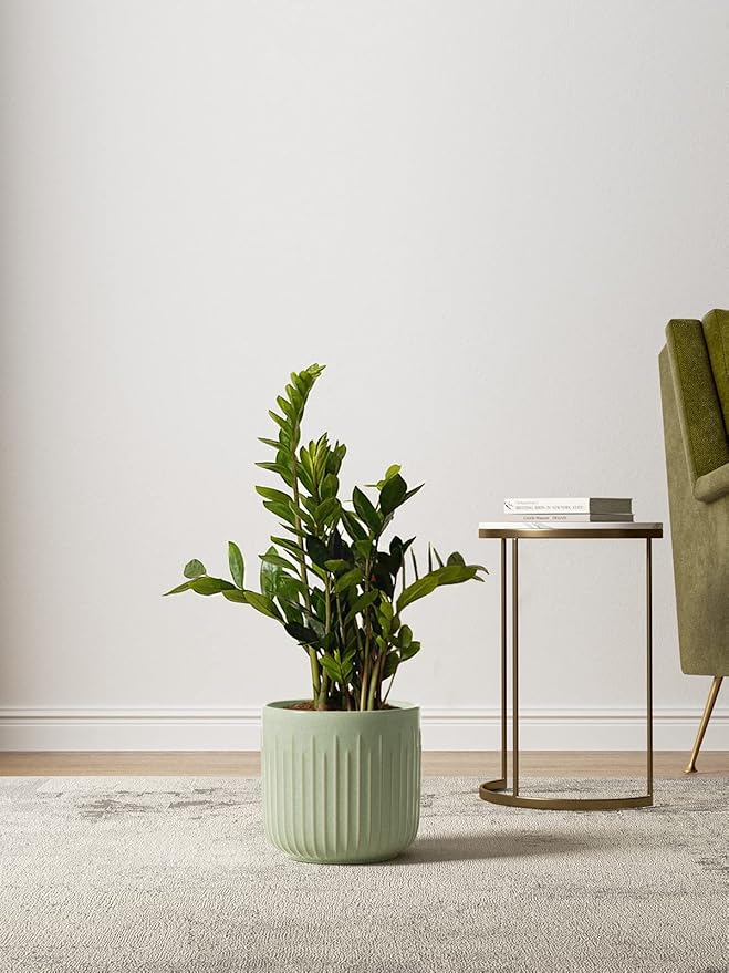 LE TAUCI Ceramic Planters, 8.3+6.9+5.7 Inch Plant Pots for Indoor Plants, Set of 3 Flower Pot with Drainage Holes, Large Round Planters Pot for Indoor House Plants, Reactive Glaze Sage Green