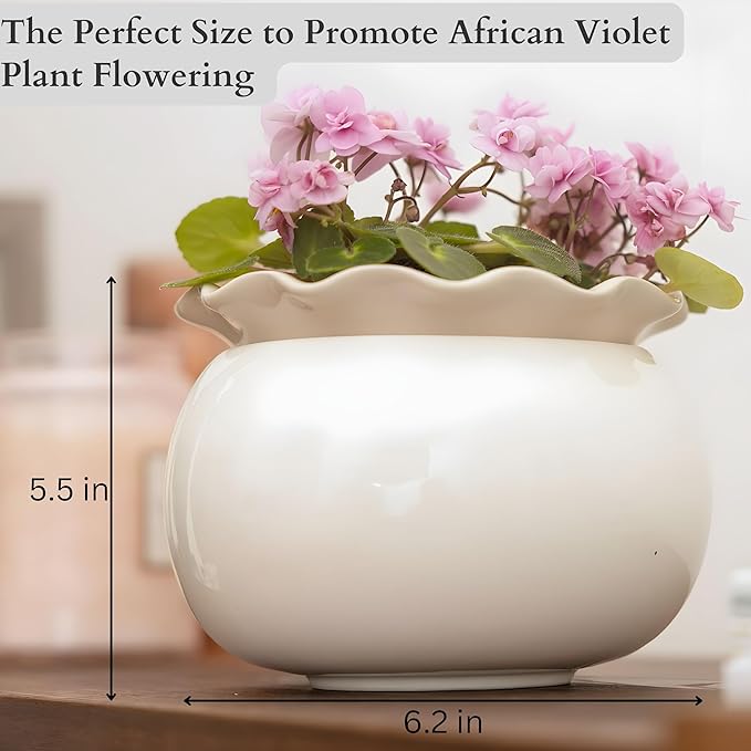 African Violet Pots 6 Inches Ceramic, Effortless Self Watering Pots for Indoor Plants for Busy Plant Lovers, Easy Plant Self Watering Pot, Plant Pots, Flower Pot, Plant pots Indoor