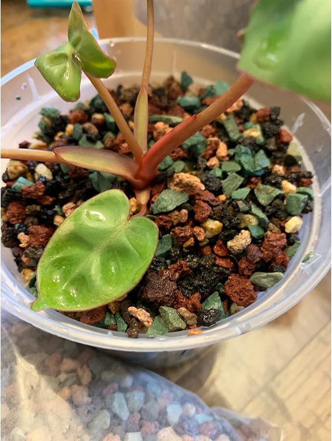 7lb Mix Lava Rocks for Plants in Door -Gravel Pebbles for Bonsai Succulent Cactus Potting Soil and Vase Fillers, Fairy Gardening,Top Dressing