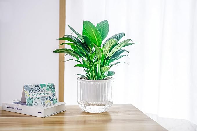 Melphoe 2 Pack Self Watering Hanging Planters Indoor Flower Pots, 6.5 Inch Outdoor Hanging Plant Pot Basket, Plant Hanger with 3Hooks Drainage Holes for Garden Home (Gray + White)