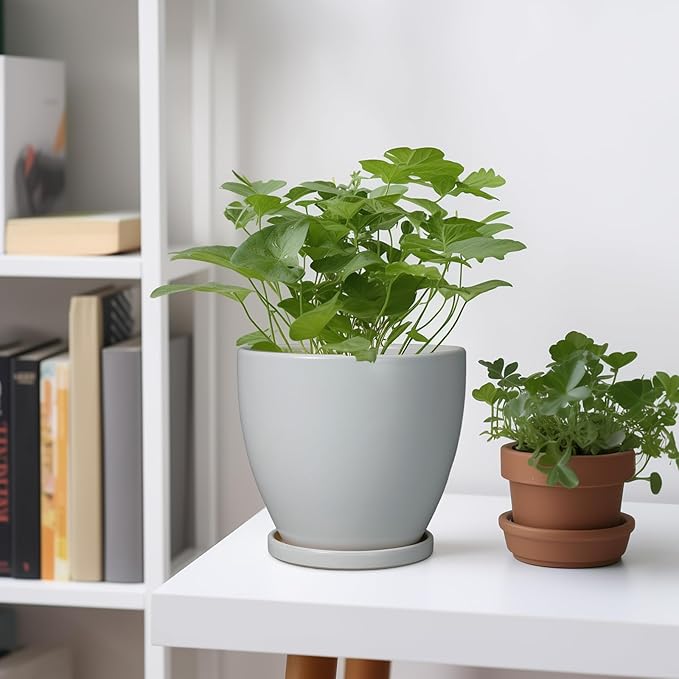 6 Inch Planter - Ceraimc Pots for Indoor Outdoor Plants Round Planters Modern Flower Pot with Drainage and Tray Home Garden Decor Brown