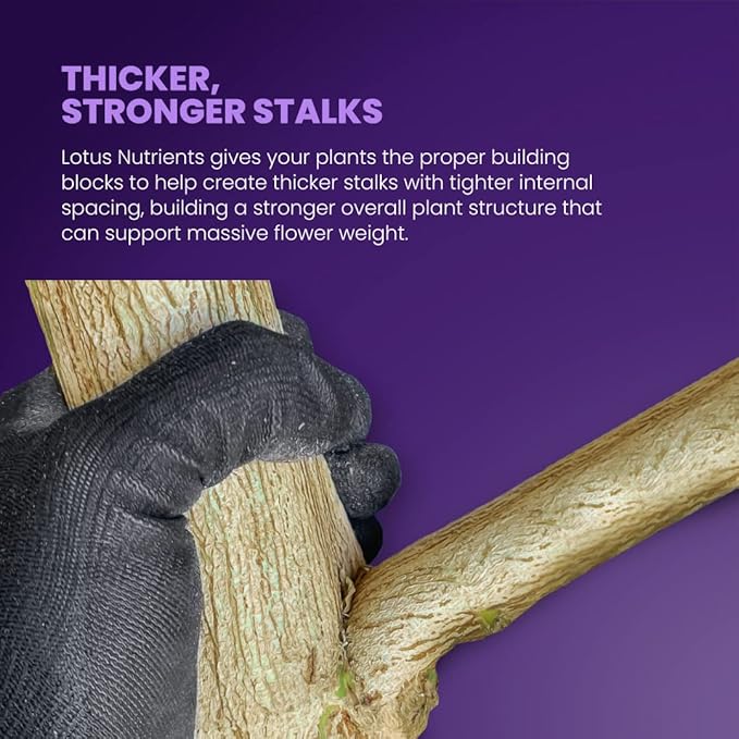 16oz Complete Veg Nutrient for Fast Healthy Growth and Massive Roots - Naturally Derived Water Soluble Premium Powdered Nutrient Fertilizer for Soil, Hydroponic, and Coco Coir Indoor and Outdoor