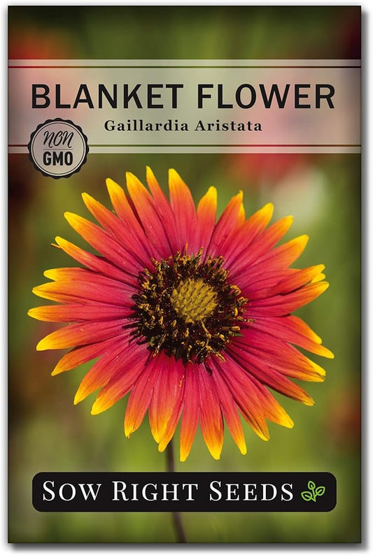 Sow Right Seeds - Blanket Flower Seeds for Planting - Non-GMO Heirloom Seeds Packet with Instructions to Plant Your Garden - Perennial Indian Gaillardia - Grow Native Gardens, Add a Color Bonanza (1)