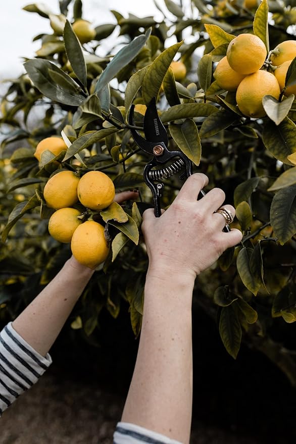 Barebones Pruner Sheath - Heavy Duty, Non-Slip Cover for Pruning Shears - Old World Japanese Design for Plant Trimming Scissors - Ideal Houseplant Accessories & Garden Tools - Sheath Only