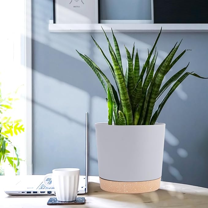 QCQHDU 6.5 inch Plant Pot, 2 Pack Planters for Indoor Plants with Drainage Holes & Saucer, Outdoor Flower Pots Home Garden Modern Decor