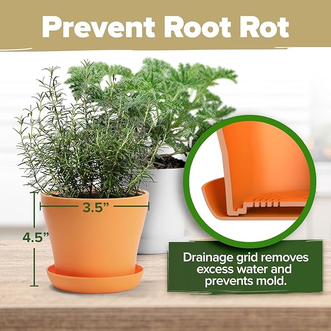 HOME GROWN Deluxe 8 Herb Garden Kit – Birthday Gifts for Women, Unique Gardening Present for Mom, Her, Friend – Easter Gift Gardeners, New Home Housewarming Kitchen Live Plant Starter