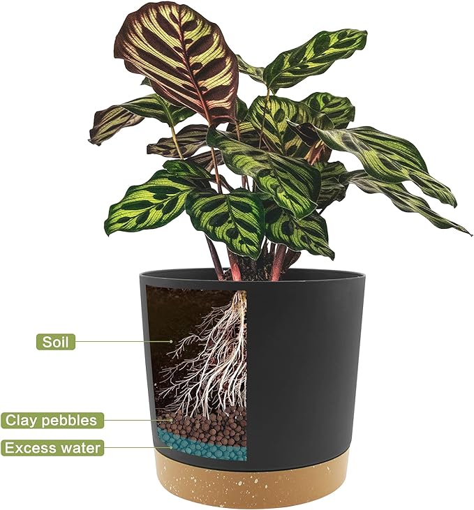 QCQHDU 12 inch Plant Pot, 2 Pack Planters for Indoor Plants with Drainage Holes & Saucer, Outdoor Flower Pots Home Garden Modern Decor