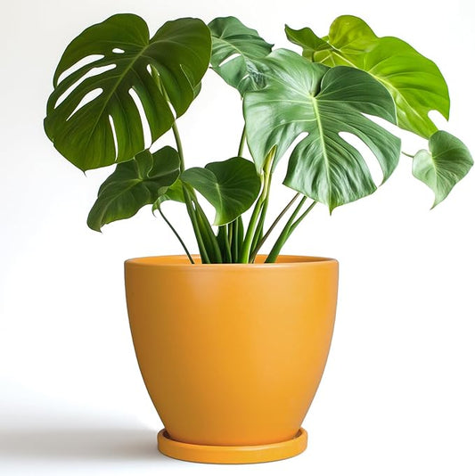 Ceramic Plant Pot - 8 Inch Planter for Indoor Outdoor Plants, Round Flower Pots with Drainage and Tray, Home Office Decor, Orange