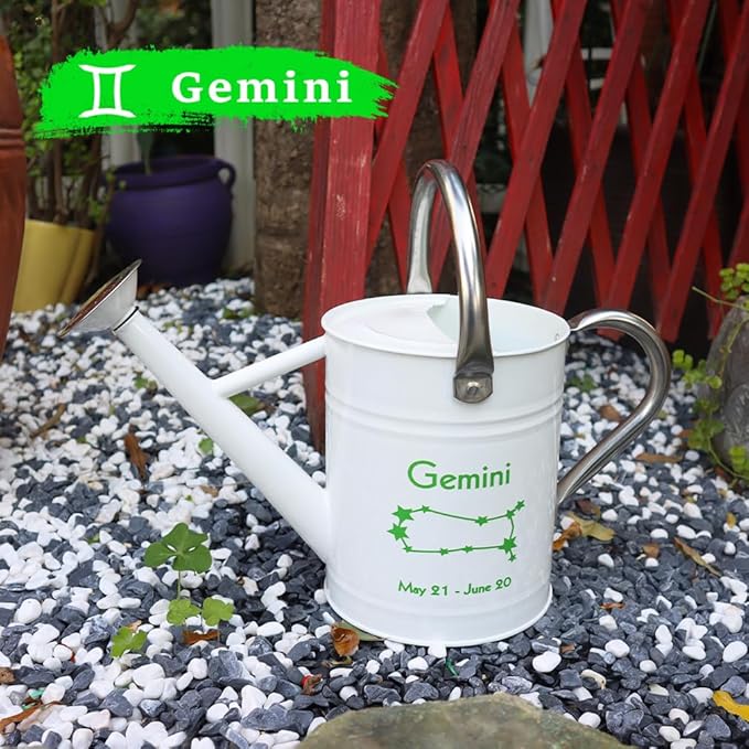 Metal Watering Can for Outdoor and Indoor Plants, Watering Can Decor, 1 Gallon (Gemini)
