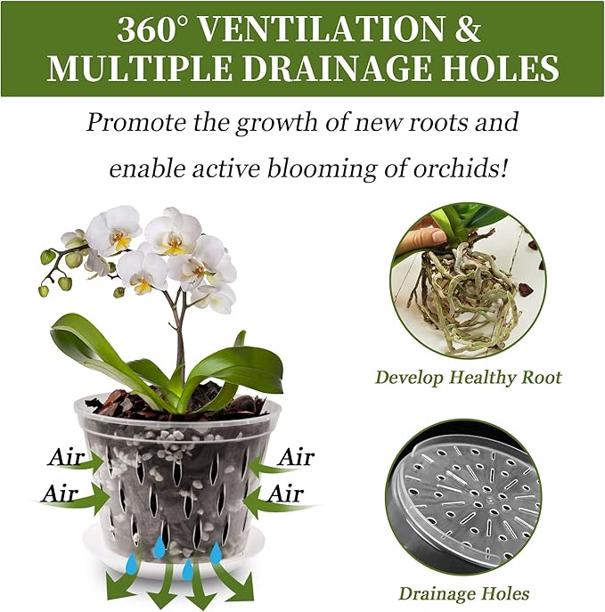 6 Pack 5 Inch Clear Orchid Pots with Holes and Saucers Orchid Pot for Plant and Repotting