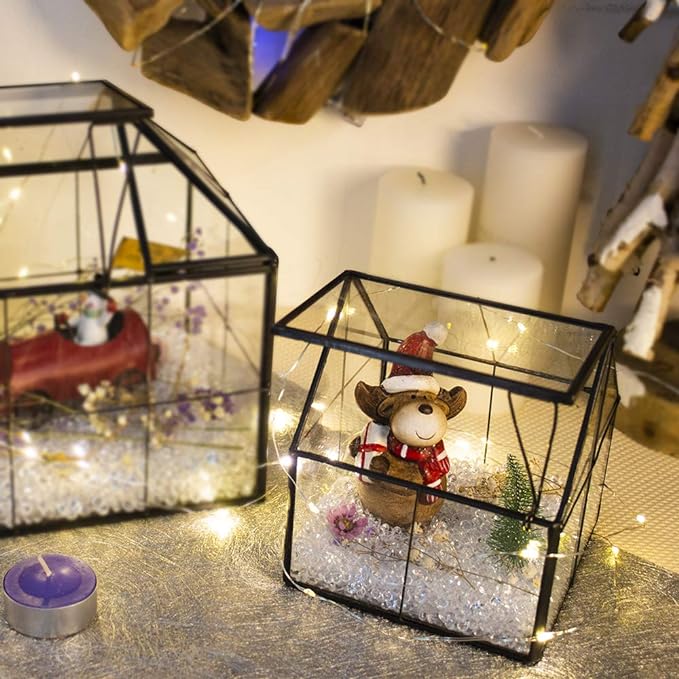 Ferrisland Glass Plant Terrarium Container Wardian Case Indoor Small Succulent Terrarium Planter w/Door for Tabletop Decor DIY - 5.0"x4.3"x4.3"