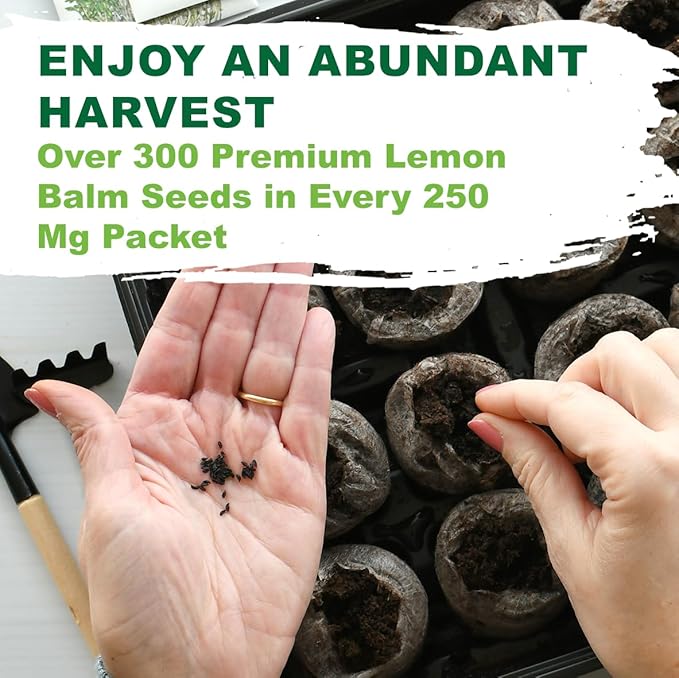 TKE Farms & Gardens - Lemon Balm Seeds for Planting, 250Mg, 300+ Heirloom, Non-GMO Seeds, Instructions Included to Grow This Fragrant Medicinal Herb, Melissa officinalis, Qty 1