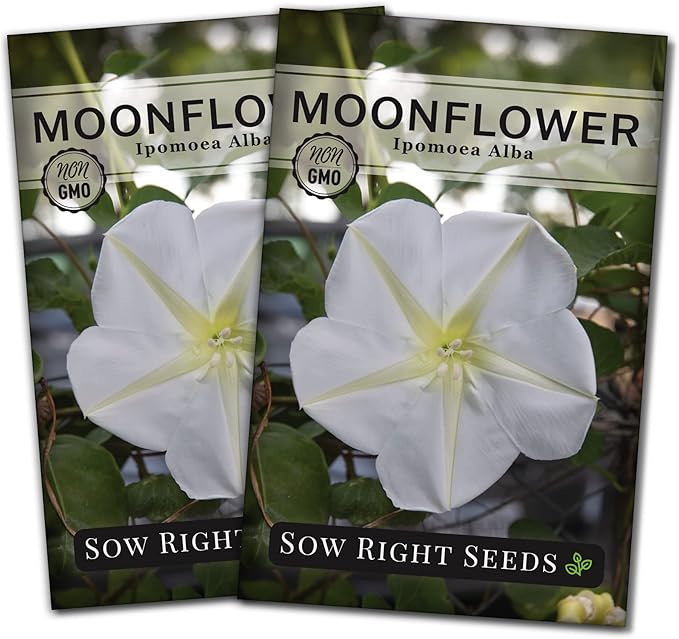 Sow Right Seeds - Moonflower (Ipomoea alba) Flower Seeds for Planting - Beautiful Flowers to Plant in Your Home Garden - Non-GMO Heirloom Seeds - Tall Annual Great for Cut Flowers - Wonderful Gift (2)