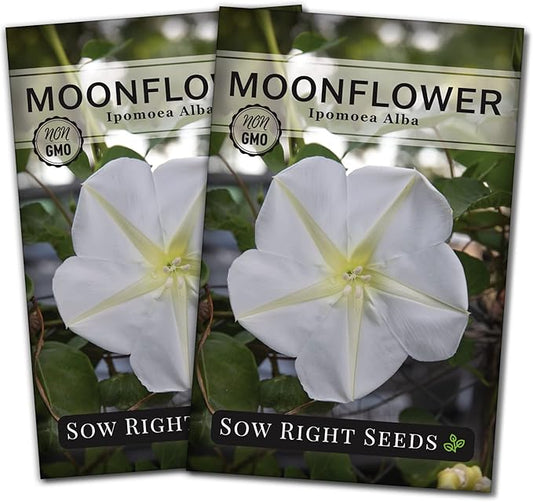 Sow Right Seeds - Moonflower (Ipomoea alba) Flower Seeds for Planting - Beautiful Flowers to Plant in Your Home Garden - Non-GMO Heirloom Seeds - Tall Annual Great for Cut Flowers - Wonderful Gift (2)