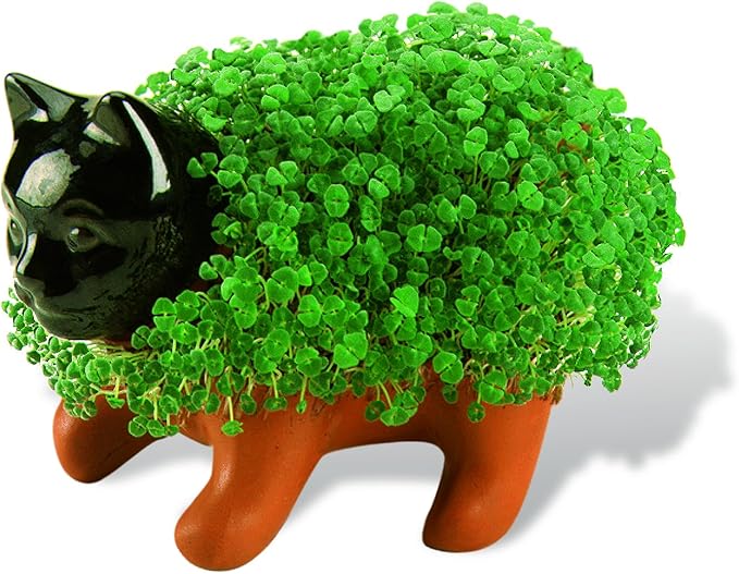 Chia Pet Kitten with Seed Pack, Decorative Pottery Planter, Easy to Do and Fun to Grow, Novelty Gift, Perfect for Any Occasion