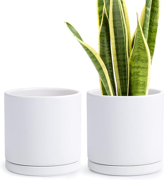D'vine Dev Set of 2 Plants Pots, 8 Inch Ceramic Planter Pot for Plants with Drainage Hole and Saucer, White, 94-V-D-1