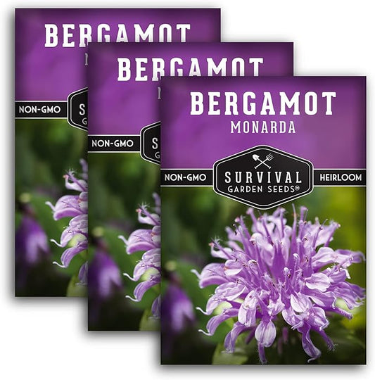 Survival Garden Seeds - Bergamot Herb (Bee Balm) Seed for Planting - 3 Packs with Instructions to Plant and Grow Lavender Monarda Wildflowers in Your Home Vegetable Garden - Non-GMO Heirloom Variety