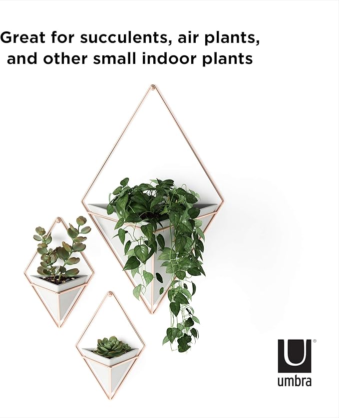 Umbra Trigg Hanging Planter Vase Wall Decor, Pot and Container for Succulents, Cactus, Faux Plants, and More, Large, Grey/Copper