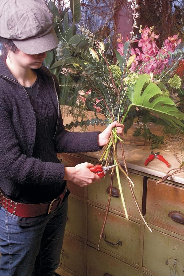 Felco Pruning Shears (F 310) - High Performance One-Hand Garden Pruners - F-310