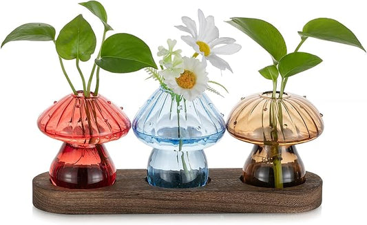 Glasseam Mushroom Plant Propagation Station: Glass Plant Terrarium Jar with Wood Stand Unique Hydroponic Planters for Indoor Plants Cute Propagation Vase for Plant Lovers Home Office Decor 3Pcs