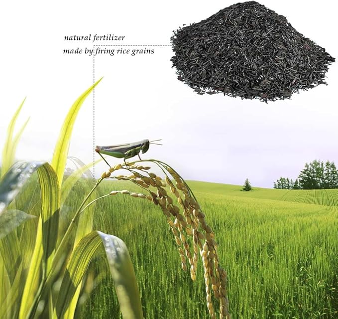 Horticultural Charcoal, Rice Husk Natural Activated Charcoal for Plants Indoor Biochar Soil Amendment Organic for Terrariums - 4.4 lbs