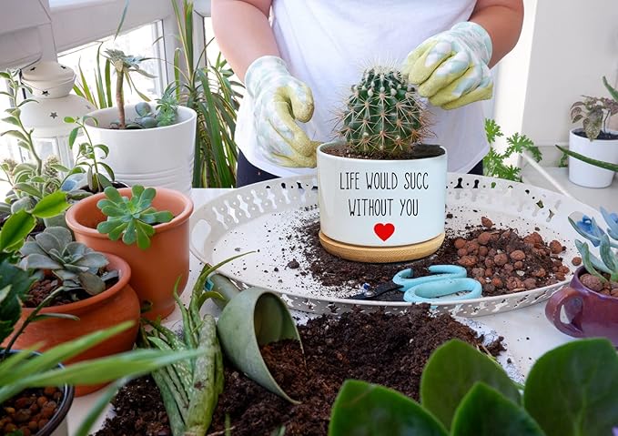 Funny Life Would SUCC Without You Planter Pots, White Ceramic Engraved Mini Succulent Cactus Planter Pot, Home Office Windowsill Plant Pots for Plant Lover Birthday