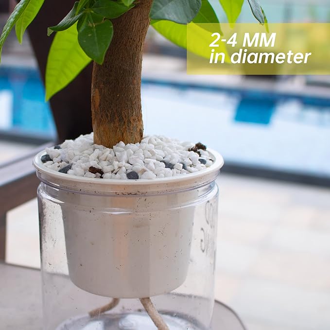 Anothera 18LB 6mm-8mm Succulent and Cactus Bonsai DIY Rocks, White Onyx, Gravel for Terrarium, Fairy Gardening, Top Dressing