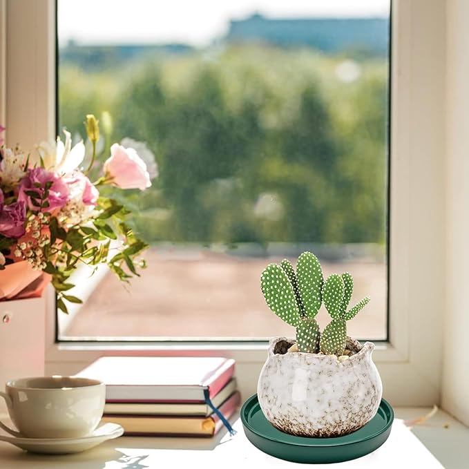 2 Pack Ceramic Plant Saucer Pot Tray 7 Inch, Planter Saucers 4 5 6 7 8 9 10 11 12 13 Inch for Indoors Outdoor, Durable Sturdy Flower Drainage drip Water Tray for Glazed Pots Base (7 Inch-Green)