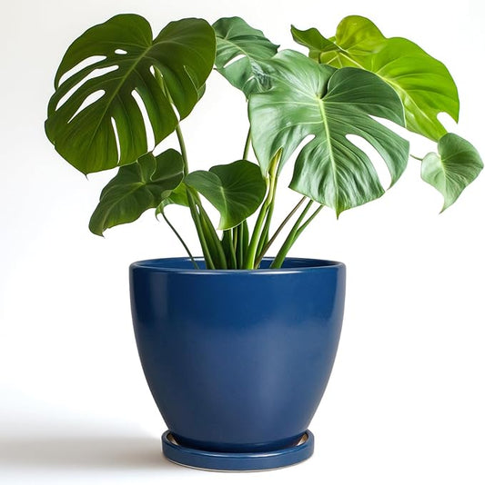 Ceramic Plant Pot - 8 Inch Planter for Indoor Outdoor Plants, Round Flower Pots with Drainage and Tray, Home Office Decor, Blue