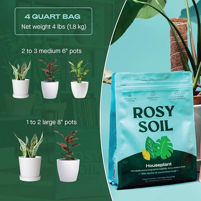 Indoor Potting Soil for House Plants - Organic Potting Soil Mix for Indoor Plants - Enriched w/Root-Boosting Biochar for Foliage Plants, Flowers, Herbs - Peat Free, Less Prone to Gnats - 4qt