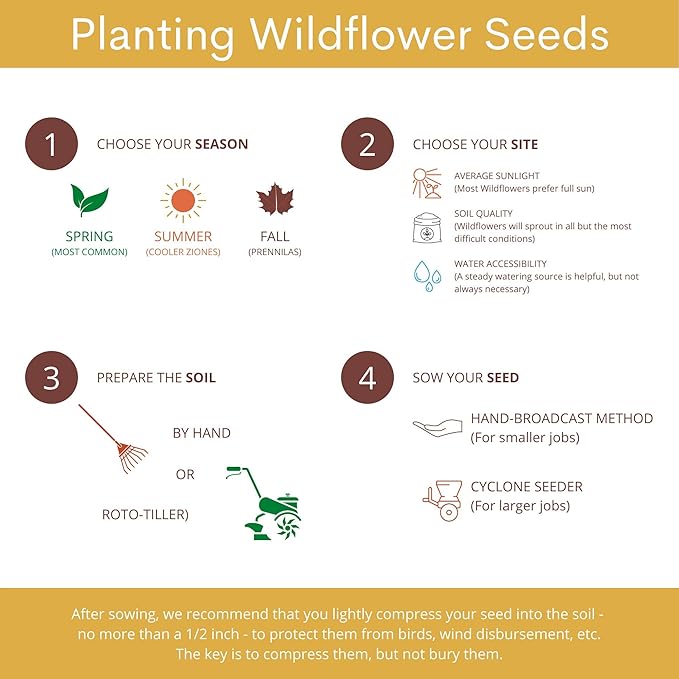 65,000+ Seeds Honey Bee Wildflower Pollinator Mix - Perennial & Annual Wild Flowers for Spring & Fall - Planting Outdoors to Save The Bees - California Poppy, Primrose, Bergamot & More