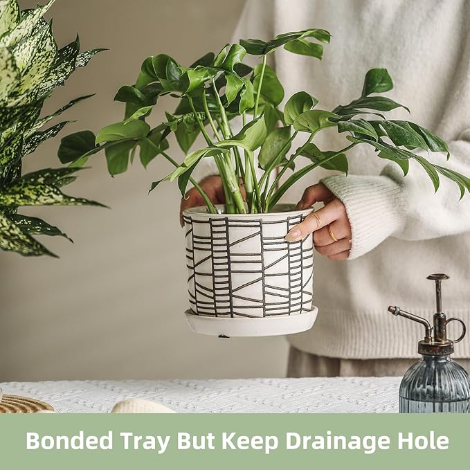 6 Inch Plant Pot: Ceramic Planter with Drainage Hole & Saucer for Indoor Outdoor Plants - Flowerpot with Bonded Tray for Home Office - Stripe Debossed
