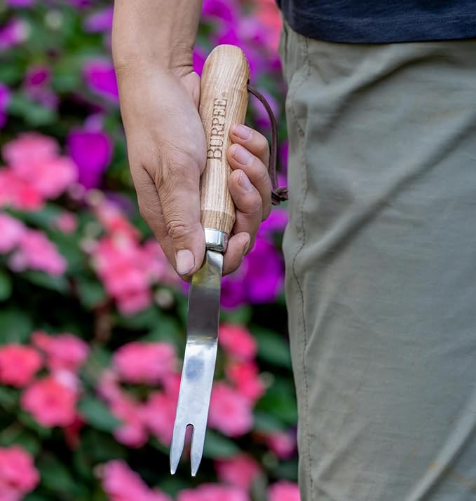 Burpee 12" Stainless Steel Weeder | Durable Long Lasting Garden Tool | Leather Wrist Strap 5" Handle, Oak