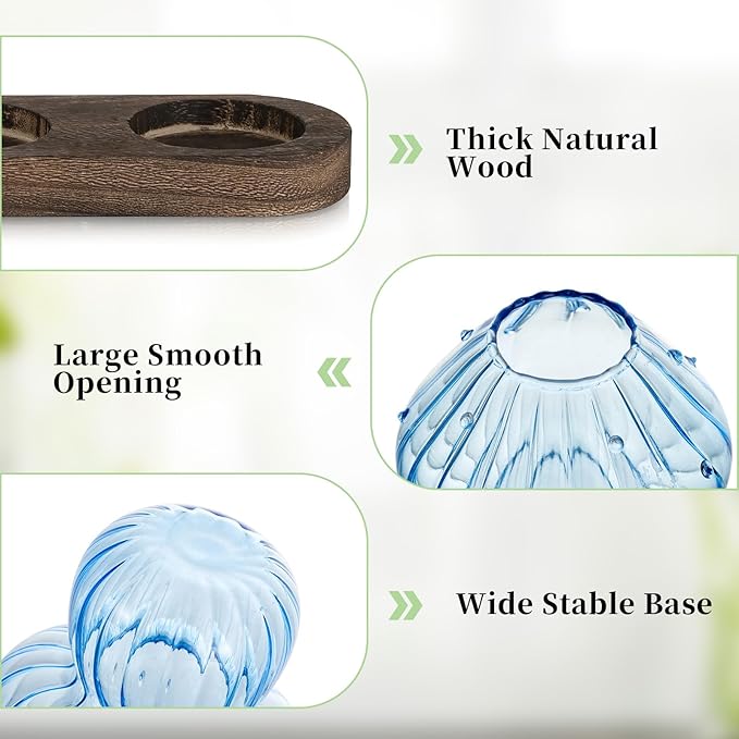 Glasseam Mushroom Plant Propagation Station: Glass Plant Terrarium Jar with Wood Stand Unique Hydroponic Planters for Indoor Plants Cute Propagation Vase for Plant Lovers Home Office Decor 3Pcs