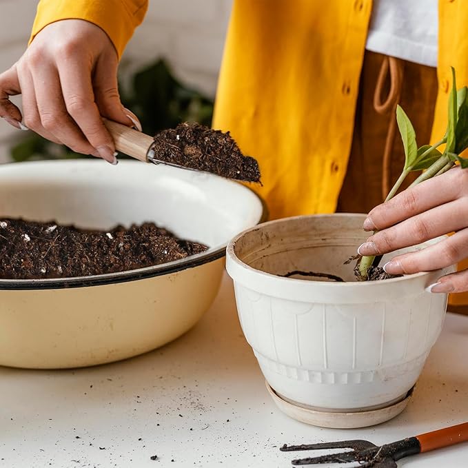 Potting Soil Mix for Indoor Plants 1qt, Organic Houseplant Soil Well Draining Dirt Ready to Use, Fit for House Plant Like Pothos, Philodendron, Monstera, African Violet