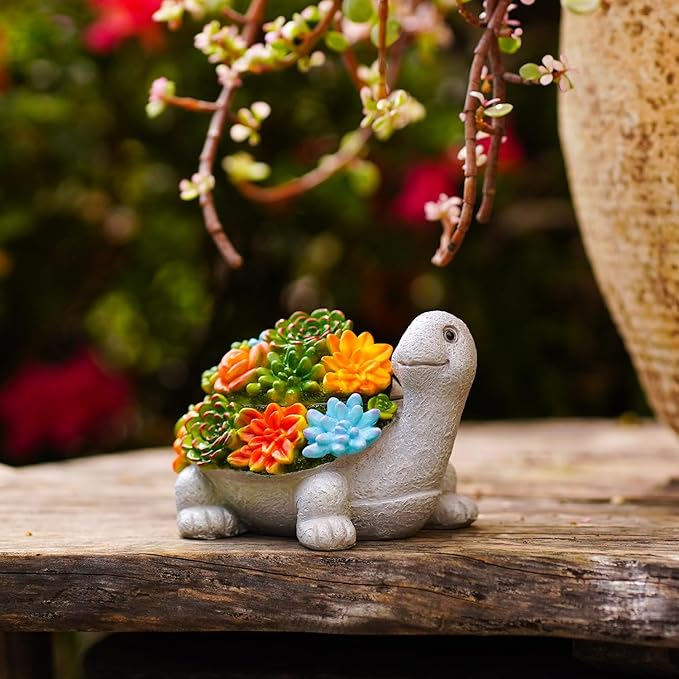 Outdoor Turtle Key Hider Statue - Cute Succulent Turtle Hide a Key Outdoor Decorative - Small Gift Box for Women, Home Decor & Turtle Gifts (Turtle)
